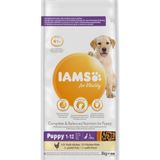 3x Iams Dog Puppy - Junior Large Kip 3 kg