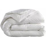 Dekbed Dons 90% 4-Jaargetijden