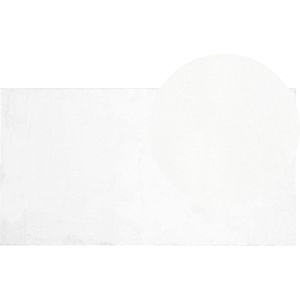 MIRPUR - Shaggy vloerkleed - Wit - 80 x 150 cm - Polyester