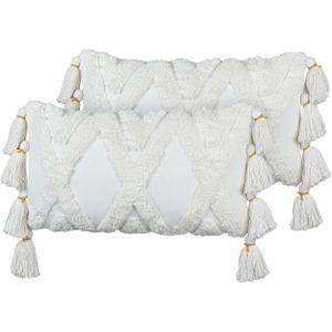 Set van 2 decoratieve kussens wit katoen kwastjes 30 x 50 cm afneembare hoes modern woonkamer accessoires