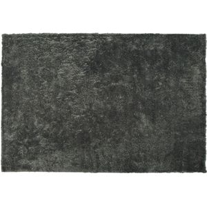 Vloerkleed donkergrijs 200 x 300 cm hoogpolig
