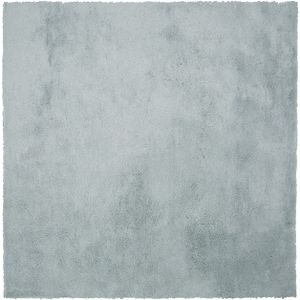 EVREN - Shaggy vloerkleed - Groen - 200 x 200 cm - Polyester