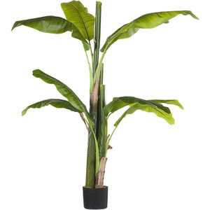 Kunstplant Groen en Zwart Plastic 154 cm Bananenboom Decoratie Woonkamer Binnen