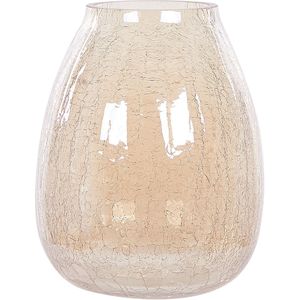Beliani LIKOPORIA - Decoratieve Vaas - Beige - Glas