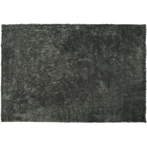 EVREN - Shaggy Vloerkleed - Donkergrijs - 140 X 200 cm - Polyester