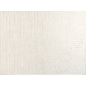Vloerkleed beige wol 300 x 400 cm abstract patroon woonkamer slaapkamer modern minimalistisch ontwerp