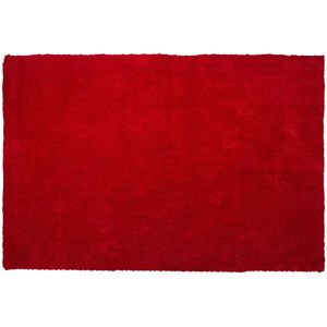 DEMRE - Shaggy Vloerkleed - Rood - 140 X 200 cm - Polyester