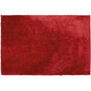 EVREN - Shaggy vloerkleed - Rood - 200 x 300 cm - Polyester