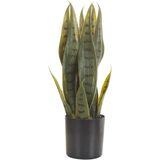 Beliani SNAKE PLANT - Kunstplant - Groen - Kunststof