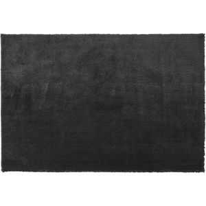 Vloerkleed zwart 200 x 300 cm hoogpolig