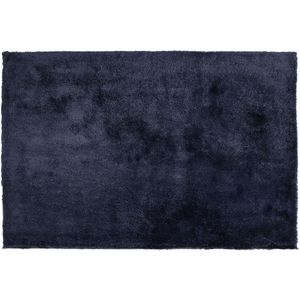 Vloerkleed donkerblauw polyester 200 x 300 cm hoogpolig