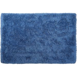 CIDE - Shaggy vloerkleed - Blauw - 200 x 300 cm - Polyester