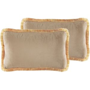 Set van 2 Sierkussens Beige Fluweel Kussenhoes 30 x 50 cm Decoratief Kussen Woonkamer Decor