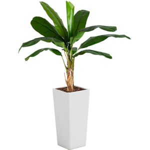 Kunstplant Bananenplant Mihara Wit | Bananenplant | kunst | vierkante pot