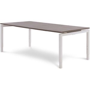 Recht bureau Pro-line 200 x 100 cm | Keuze uit 6 bladkleuren | 4 afmetingen | Hoogte instelbaar