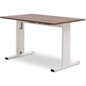 Recht bureau T-line 120 x 80 cm | Keuze uit 6 bladkleuren | 3 afmetingen | Hoogte instelbaar