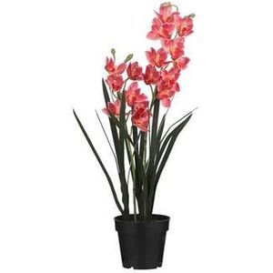 Mica Decorations Cymbidium Kunstplant - H92 x Ø19 cm - Pot - Roze