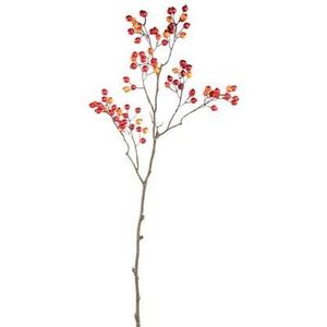 PTMD Berry Kunstplant - 48x26x80 cm - PE - Rood