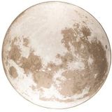 Zuiver Moon Vloerkleed � 200 cm - Beige