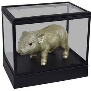 LOFT42 Showy Glazen Display Box Zwart – Metaal – (27x30x20)
