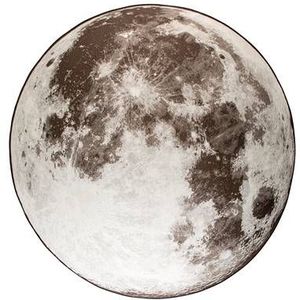 Zuiver Moon Vloerkleed � 200 cm - Grijs