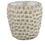 PTMD Ruis Cream cement dotted pot round XL