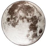 Zuiver Moon Buitenkleed - '280 - Grijs