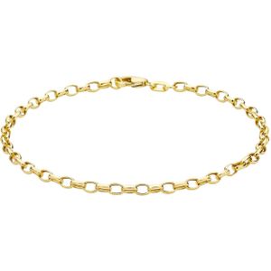 Lucardi Dames Armband Jasseron Ovaal - 9 Karaat - Geelgoud - 18 cm