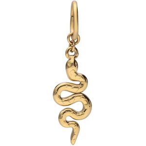 Stalen goldplated bedel slang