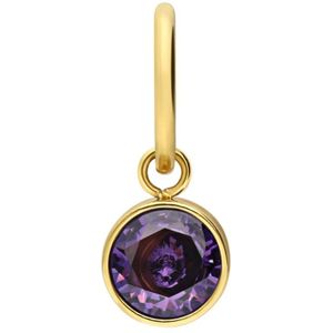 Stalen goldplated bedel geboortesteen februari