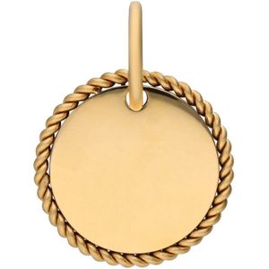 Stalen goldplated bedel munt bewerkt
