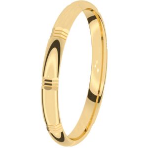 14K geelgouden trouwring Heren 2,5mm Hortensia