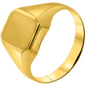 14 Karaat geelgouden zegelring zeskant