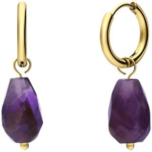 Stalen goldplated oorringen met amethyst