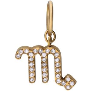 Stalen goldplated bedel schorpioen