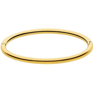 Stalen goldplated bangle