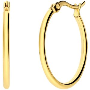 Stalen goldplated oorringen 45mm