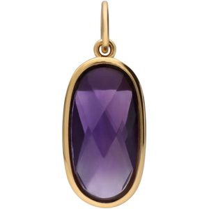 Stalen goldplated bedel ovaal met amethyst