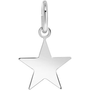 Zilveren hanger ster