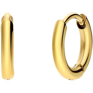 Stalen goldplated oorringen 10mm