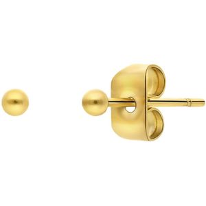 Stalen goldplated oorknoppen 2mm