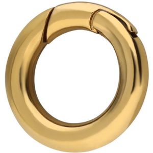 Stalen goldplated bedel sluiting rond 12mm