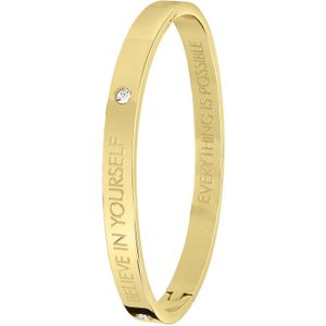 Guess stalen armband bangle goldplated Believe