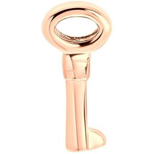 Stalen roseplated slider sleutel