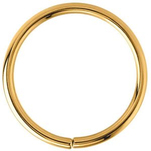 Stalen helixpiercing goldplated ring