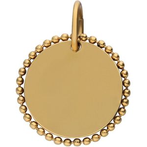 Stalen goldplated bedel munt medium