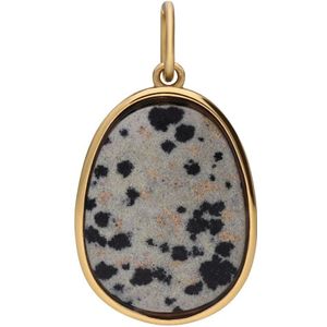 Stalen goldplated bedel met damatian jasper