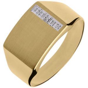 14 Karaat gouden zegelring met diamant 0,005ct