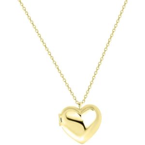 Zilveren goldplated ketting & hanger hart medaillon