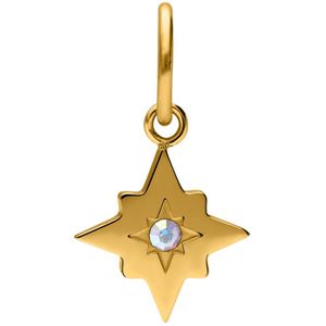 Stalen goldplated hanger ster met zirkonia voor dames